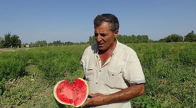 Örnek Çiftçi Alican Akçan Karpuzda Üçüncü Hasadını Yapıyor