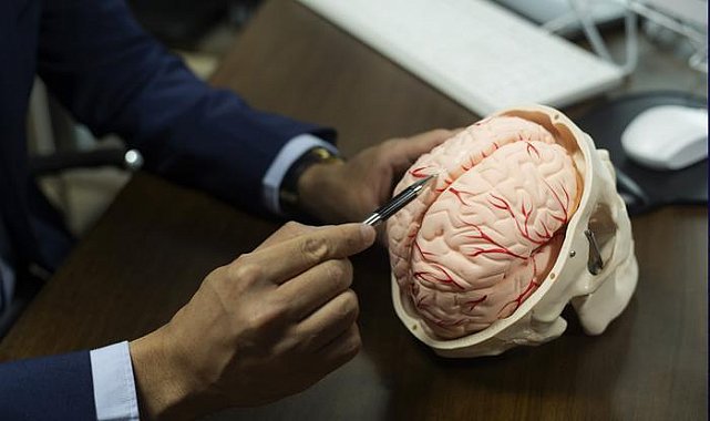 Bilim insanları keşfetti! Araştırmayla ortaya çıktı: Erkeklerin beyni belli bir saatte küçülüyor