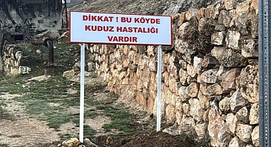 ADIYAMAN - Bir köy kuduz nedeniyle karantinaya alındı