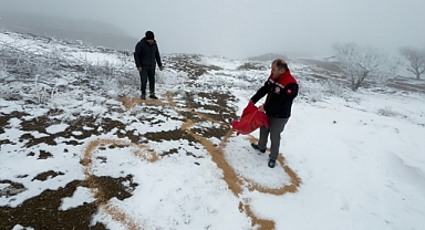 Erzincan'da yabani hayvanlar için karla kaplı arazilere yem bırakıldı