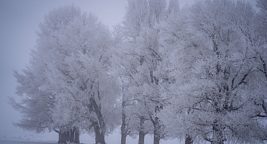 Erzurum, Sıfırın Altında 17 Dereceyle Türkiye'nin En Soğuk İli Oldu