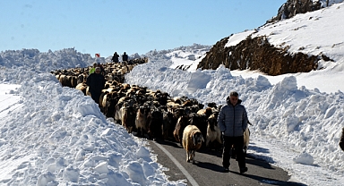 Muş'ta tipi nedeniyle sürüleriyle yolda mahsur kalan besiciler kurtarıldı