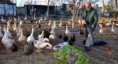 Muşlu çiftçi, hobi için kurduğu çiftlikte bin kanatlı hayvan besliyor