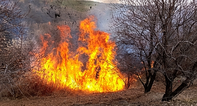 Çemişgezek'te otluk arazide çıkan yangın söndürüldü