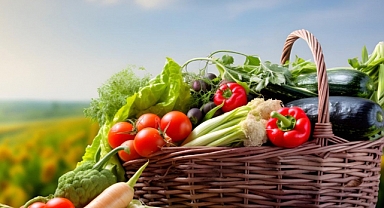 Iğdır'da Bitkisel Üretime Yönelik Destekleme Başvuruları Başladı