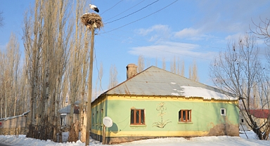 Yüksekova'da göç etmeyen leyleklere köylüler sahip çıkıyor