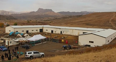 Devlet desteğiyle kurulan çiftlikte 