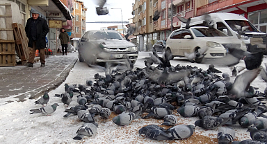 Erzurum, Ardahan, Kars ile Ağrı'da dondurucu soğuklar etkisini sürdürüyor