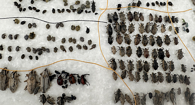 Erzurum'da bilim insanı, 25 yılda 75 türü simge isimlerle literatüre kazandırdı