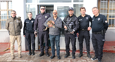Erzurum'da donmak üzereyken bulunan kediler polis merkezinin maskotu oldu