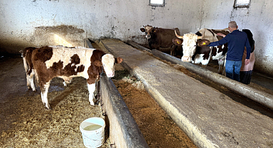 Eski hükümlü, devlet desteğiyle besiciliğe yeniden başladı