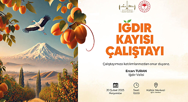  Iğdır’da Kayısı Çalıştayı 20 Şubat’ta Başlıyor
