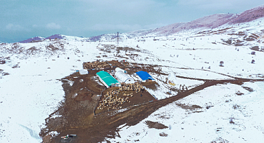 Karla kaplı meralar kuzu doğumlarıyla şenlendi