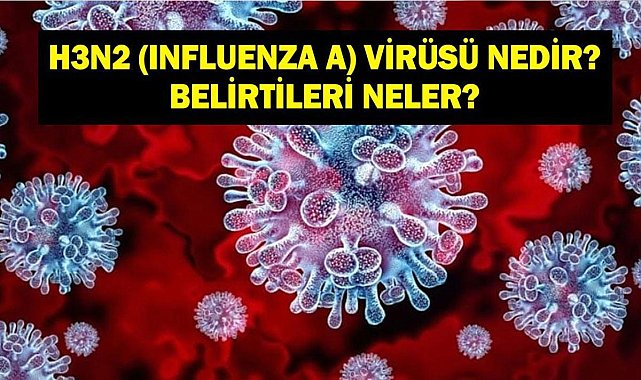 H3N2 Virüsü Nedir? H3N2 Virüsü (Influenza A) Belirtileri Nelerdir? H3N2 Virüsü (Influenza A) Nasıl Anlaşılır?