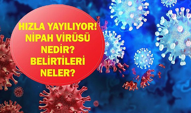 NİPAH VİRÜSÜ NEDİR? Nipah Virüsü Belirtileri Neler? Hindistan'da Başladı! Ölümcül Riski Var!