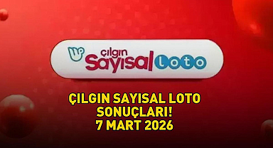 ÇILGIN SAYISAL LOTO SONUÇLARI AÇIKLANDI! Çılgın Sayısal Loto sonuçları nasıl öğrenilir? 739.219.220,89 TL devretti! - Ekonomi Haberleri