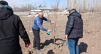 Iğdır'da Çiftçilere Uygulamalı Meyve Ağaçlarında Budama Eğitimi