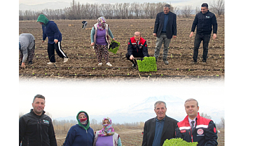 Iğdır'da Tarım ve Hayvancılıkta Rekor Artış: 2025 Verileri Açıklandı