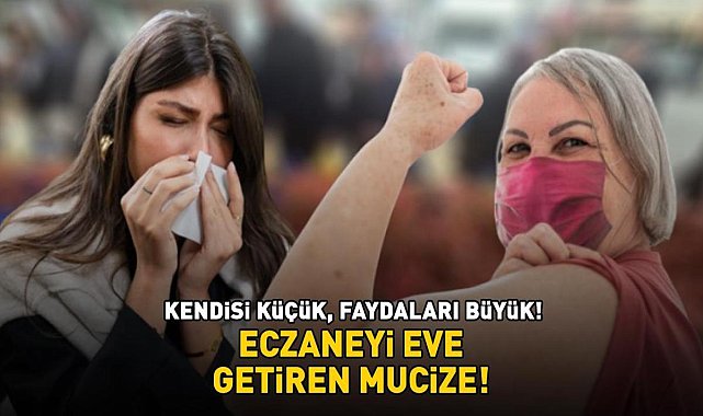 Kilosu 80 TL! Eczaneyi eve getiren mucize: Güçlü bir antioksidan kaynağı! Vücudu hastalıklara karşı koruyor, bağışıklığı destekliyor - Sağlık Haberleri