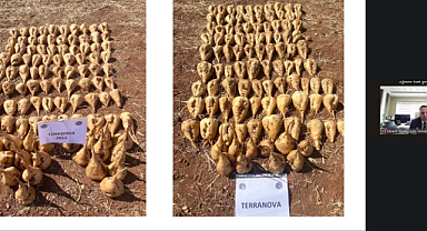 Yerli Şeker Pancarı Tohumu Projesi Tanıtıldı