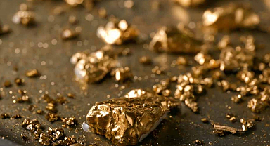 1400 liraya izin alıp altın aramaya gidiyorlar: Servetin ortasında polis ve yılanlar bekliyor