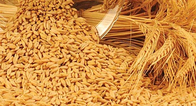 Arpa Suyunun Faydaları Nelerdir? Arpa Suyu Ne İşe Yarar? Neye İyi Gelir?