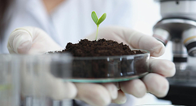 Bilim dünyasını şaşırtan araştırma: Bitkiler 