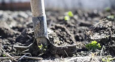 Gübre ithalatında yeni vergi düzenlemesi: Bazı ürünlerde gümrük vergisi yüzde 0’a indirildi