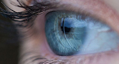 Mavi gözlü tüm insanların atası aynı: Araştırmada Türkiye de var