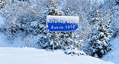 Nisan'da kar esareti: Köse Dağı geçidi karla kaplandı