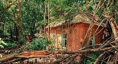 Nükleer patlamaya rağmen hayatta kaldılar