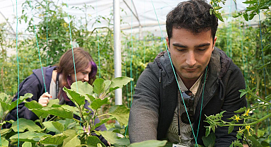 Türkiye'de bir ilk: Psikiyatri hastaları tedavi görürken para kazanıyor