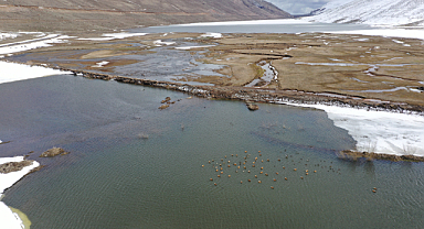 Ünlendi Barajı 70 Günde Yüzde 10 Doldu