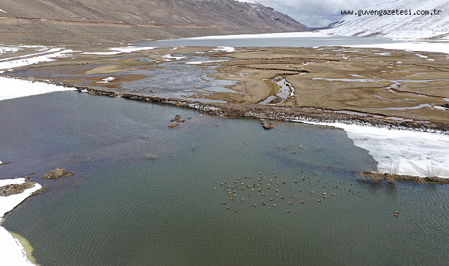 Ünlendi Barajı 70 Günde Yüzde 10 Doldu