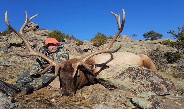 Ünlü milyoner ava giderken avlandı: Filler tarafından ezilerek can verdi