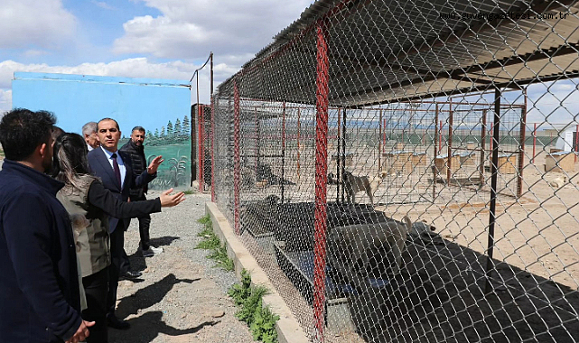 Vali Taşolar'dan Sahipsiz Hayvan Bakımevi'ne Ziyaret