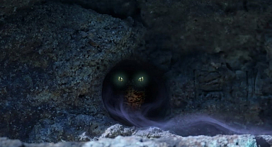 Yıllarca saklandı, sonunda bulundu: Dünyanın en nadir sürüngeni ortaya çıktı