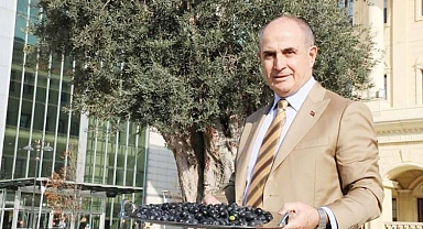 Akgün’e 14 eylemden suçlama