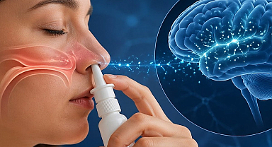 Alzheimer ve demans tedavisinde çığır açan yöntem: Tek fısla hafızayı geri getiriyor