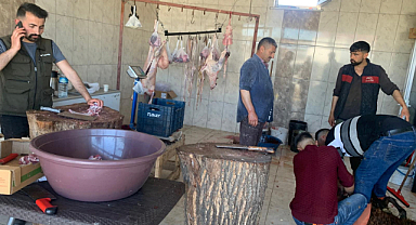 Arıslı Kurbanları Ücretsiz Kesti