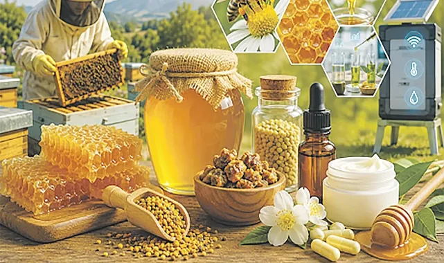 Balda katma değer arttı