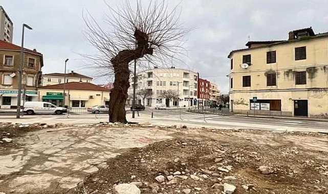 Binlerce kişinin ayak bastığı yerde keşfedildi: Kimse fark etmemiş