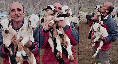 Çobanın oğlaklarına sevgisi yürekleri ısıttı