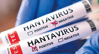 Dünyada hantavirüs alarmı!