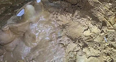 Gördükleri şey karşısında dona kaldılar: Dünyayı ayağa kaldırdı