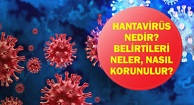 Hantavirüs Alarmı: Hantavirüs Nasıl Bulaşır? Erken Belirtiler Neler, Nasıl Korunulur? MV Hondius Gemisinde Şüpheli Salgın!