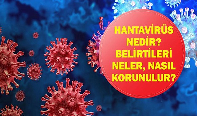 Hantavirüs Alarmı: Hantavirüs Nedir, Nasıl Bulaşır? Erken Belirtiler Neler, Nasıl Korunulur? MV Hondius Gemisinde Şüpheli Salgın!