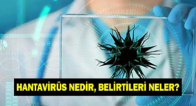 Hantavirüs nedir, belirtileri neler? Hantavirüs bulaşıcı mı, korunma yolları neler?