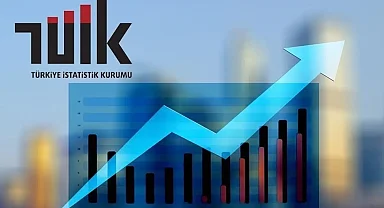Hazine ve Maliye Bakanlığı'ndan TÜİK iddialarına tepki