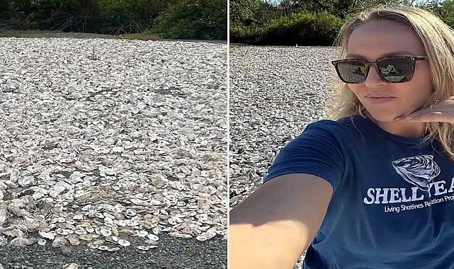 Her sabah restoran çöplerinden torba torba istiridye kabukları topladı nedeni 'vay be' dedirtti